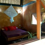 Lory na suite N°1